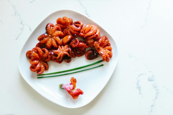 Esplora le Top Piattaforme di Crowdfunding per i Tuoi Progetti Artistici: La Guida Definitiva alla Scelta Ideale!